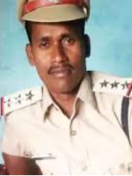 naidunia_image